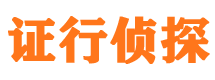 江城市私人侦探